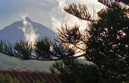 Azores Youth Hostels - Pico Sao Roque do Pico Ngoại thất bức ảnh